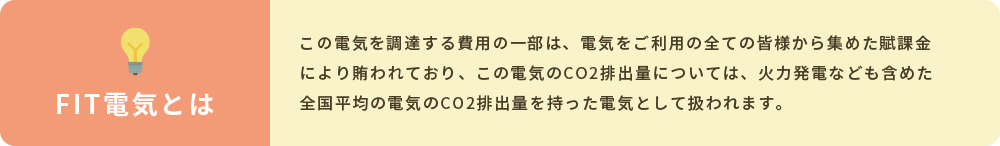 FIT電気とは