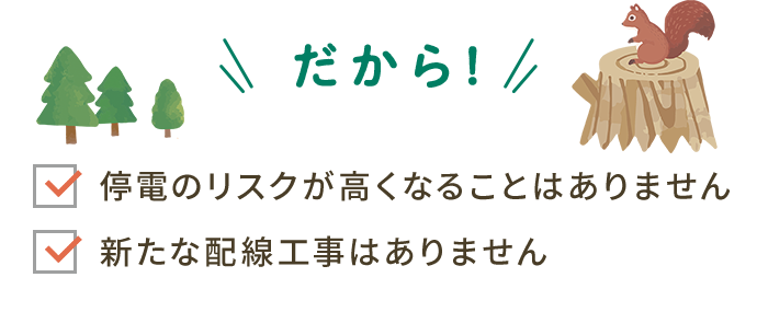 停電のリスクが高まること、新たな配線工事がありません