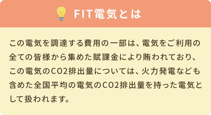 FIT電気とは